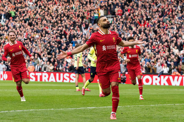 不仅是球迷 不仅是球迷